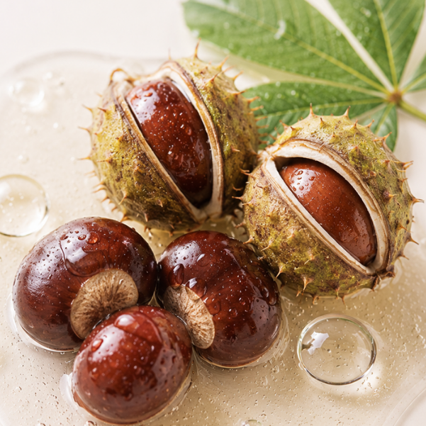 Horse chestnut extract skincare ingredient used for puffiness and under-eye care